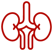 Urology