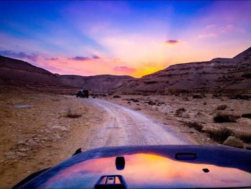 وادي دجلة